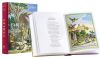 Fables-Editions-Diane-de-Selliers